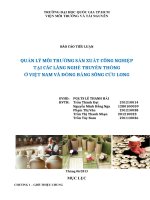 QUẢN LÝ MÔI TRƯỜNG SẢN XUẤT CÔNG NGHIỆP TẠI CÁC LÀNG NGHỀ TRUYỀN THỐNG  Ở VIỆT NAM VÀ ĐỒNG BẰNG SÔNG CỬU LONG