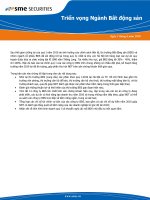 BÁO CÁO NGÀNH HOẠT ĐỘNG KINH DOANH BẤT ĐỘNG SẢN NĂM 2010 pdf