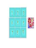 Giáo án điện tử tiểu học: Trò chơi tiếng anh ppsx