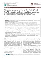 Molecular characterization of the PhoPQ-PmrDPmrAB mediated pathway regulating polymyxin B resistance in Klebsiella pneumoniae CG43 ppt