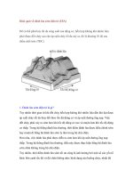 Khái quát về đánh lửa sớm điện tử (ESA) potx