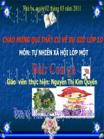 Giáo án điện tử mầm non: Bài giảng về động vật(Con gà) docx