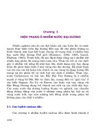 Giáo trình bảo vệ môi trường - Phần 3 Bảo vệ đại dương thế giới - Chương 3 ppsx