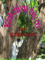 Giáo án điện tử tiểu học: Toán lớp 2 hectomet, đecamet doc