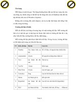Giáo trình hình thành đoạn mã ứng dụng nguyên lý sử dụng kỹ thuật lập trình trong access với PHP code p2 pdf
