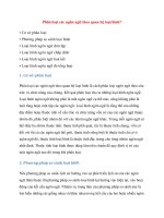 Phân loại các ngôn ngữ theo quan hệ loại hình ppsx