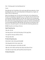 Đề cương dạy học pps