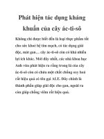 Phát hiện tác dụng kháng khuẩn của cây ác-ti-sô pps