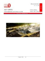 CÔNG TY CỔ PHẦN KHOÁNG SẢN VINAS - BÁO CÁO SƠ LƯỢC VỀ CÔNG TY pdf