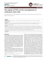 The signals of FGFs on the neurogenesis of embryonic stem cells ppsx