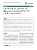 báo cáo khoa học: 