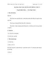 CHẠY GIẶC, HƯƠNG SƠN PHONG CẢNH CA ( Nguyễn Đình Chiểu ) pps