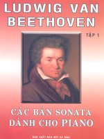 Các bản Sonata dành cho Piano tập 1 part 1 pdf