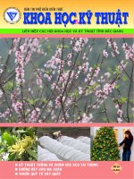 Bản tin phổ biến kiến thức khoa học kỹ thuật số 10