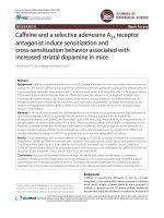 Caffeine and a selective adenosine A2A receptor antagonist induce sensitization and cross-sensitization behavior associated with increased striatal dopamine in mice pot