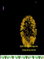 Giáo án điện tử tiểu học môn lịch sử: Ra đi tìm đường cứu nước doc