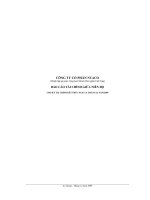 CÔNG TY CỔ PHẦN NTACO - BÁO CÁO TÀI CHÍNH Q4 - 2009 CHƯA CÓ THUYẾT MINH pps