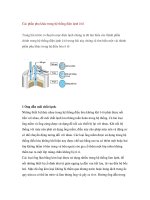Các phần phụ khác trong hệ thống điện lạnh ô tô ppt