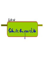 Giáo án điện tử tiểu học môn lịch sử: Sấm sét đêm giao thừa docx