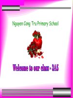 Giáo án điện tử tiểu học: Unit 9 tiếng anh lớp 5 pps