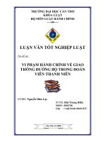 vi phạm hành chính về giao thông đường bộ trong đoàn viên thanh niên