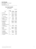 CÔNG TY CỔ PHẦN ALPHANAM - BẢNG CÂN ĐỐI KẾ TOÁN HỢP NHẤT - QUÝ 4 - 2009 pot