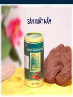 quy trình sản xuất nấm