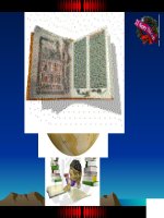 Giáo án điện tử tiểu học môn lịch sử: Lịch sử lớp 5 ppsx