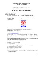 BÁO CÁO THƯỜNG NIÊN 2009 CÔNG TY CỔ PHẦN CÁP SÀI GÒN 2009 docx