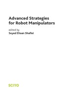 Advanced Strategies For Robot Manipulators Part 1 pdf