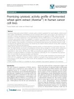 báo cáo khoa học: 