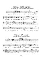 Tự học thổi sáo và ngâm thơ part 10 ppsx