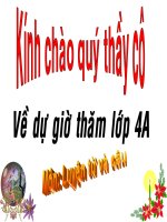 Giáo án điện tử mầm non:Dấu ngoặc kép pot