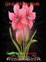 Giáo án điện tử tiểu học môn lịch sử: Lịch sử lớp 5 pdf