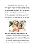 Thêm hàng loạt “sát thủ” chứa chất DEHP lộ diện pps