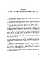 Kỹ thuật sơn đồ gỗ part 6 ppt