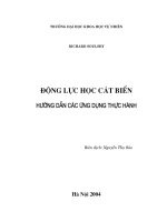 Động lực học cát biển - Hướng dẫn các ứng dụng thực hành - Chương mở đầu docx