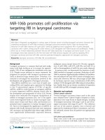 báo cáo khoa học: 