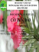 dược liệu   cây trúc đào