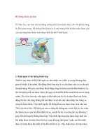 Hệ thống khoá cửa kép doc