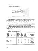 Kỹ thuật sơn đồ gỗ part 9 ppsx
