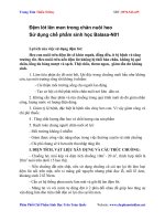 m lót lên men trong chăn nuôi heo - Sử dụng chế phẩm sinh học Balasa-N01 doc