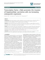 báo cáo khoa học: 