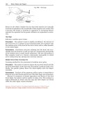 Clinical Tests for the Musculoskeletal System - part 6 pptx