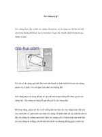 Xéc măng là gì? pdf