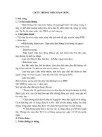 Chan thuong nieu dao truoc pot