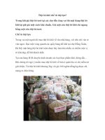 Thịt bò khô chế từ thịt lợn? potx