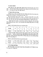 Kỹ thuật sơn đồ gỗ part 5 doc