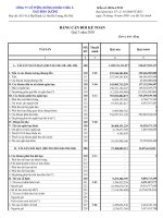 CÔNG TY CỔ PHẦN CHỨNG KHOÁN CHÂU Á THÁI BÌNH DƯƠNG - BẢNG CÂN ĐỐI KẾ TOÁN Q3 NĂM 2010 docx