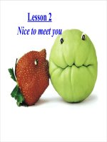 Giáo án điện tử tiểu học môn tiếng anh: Nice to meet you docx
